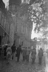    1981 .