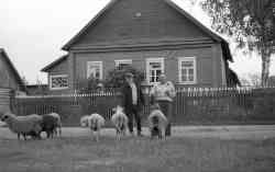    , 1980 