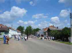    2005 ( .)